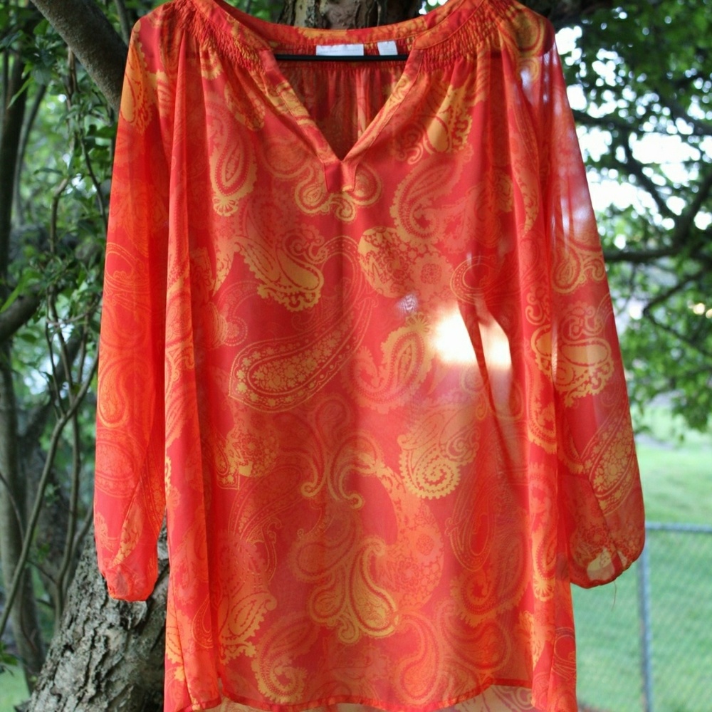 Sheer, fitted blouse